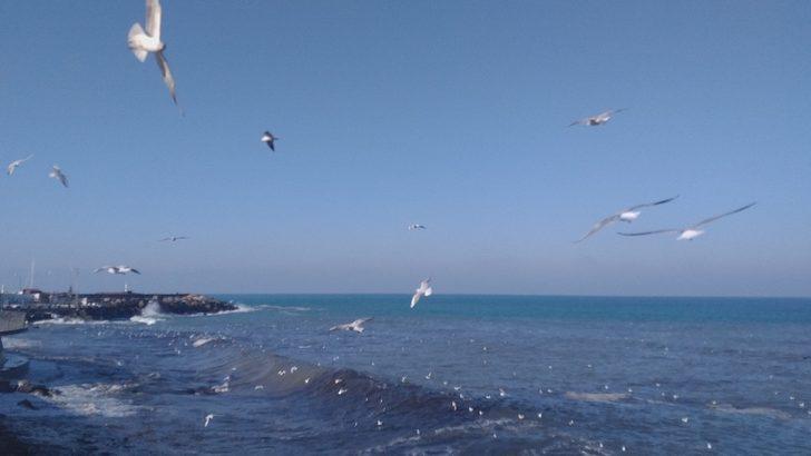 Batı Karadeniz’de kış günleri güneşli geçiyor G3