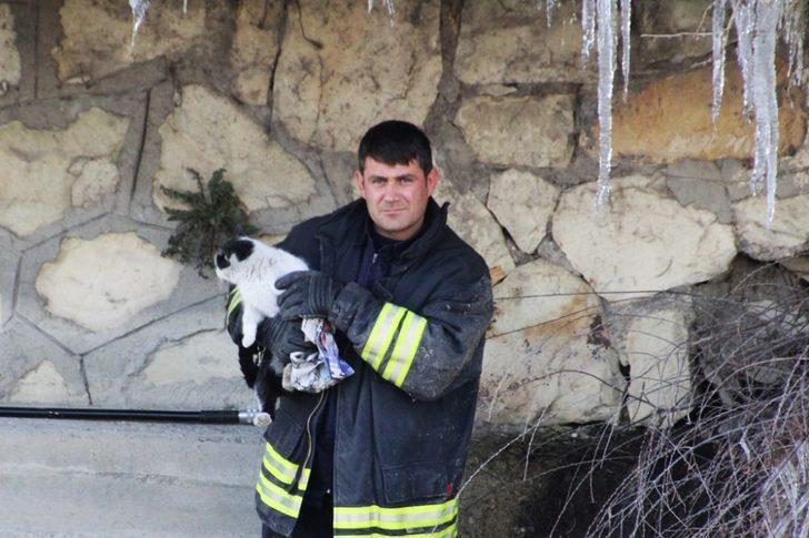 Çoruh Nehri kenarında mahsur kalan kediye itfaiye kurtardı G3
