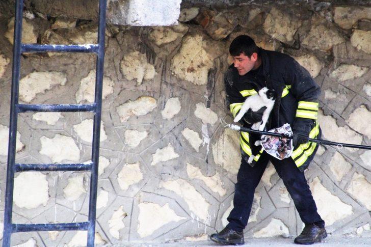 Çoruh Nehri kenarında mahsur kalan kediye itfaiye kurtardı G4