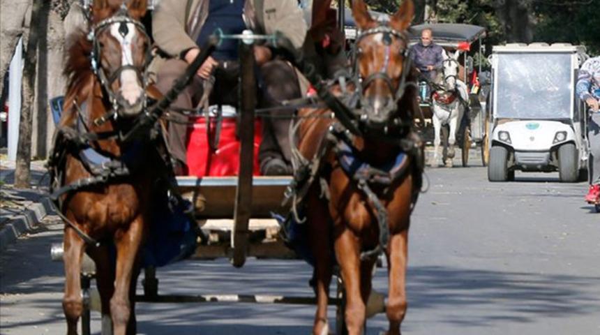 İBB Adalar'daki faytonları yaklaşık 70 milyon liraya satın alıyor