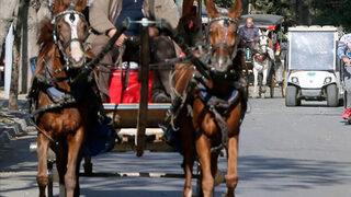 İBB Adalar'daki faytonları yaklaşık 70 milyon liraya satın alıyor