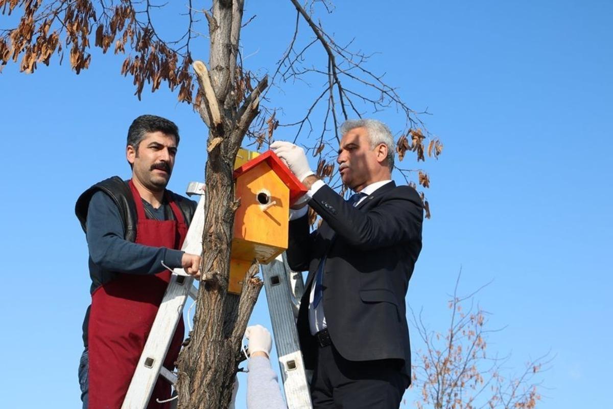 Muş&rsquo;ta Osmanlı mimarisi ile kuş evleri