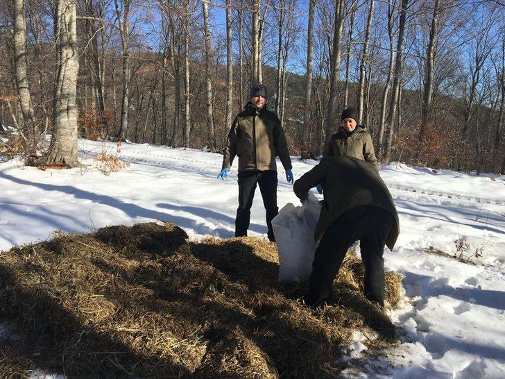 Bolu’da yaban hayvanları için yem bırakıldı G1