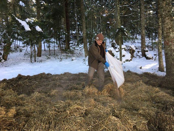 Bolu’da yaban hayvanları için yem bırakıldı G2