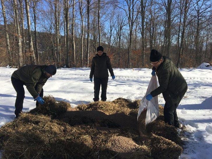 Bolu’da yaban hayvanları için yem bırakıldı G3