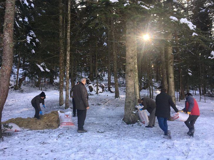 Bolu’da yaban hayvanları için yem bırakıldı G4