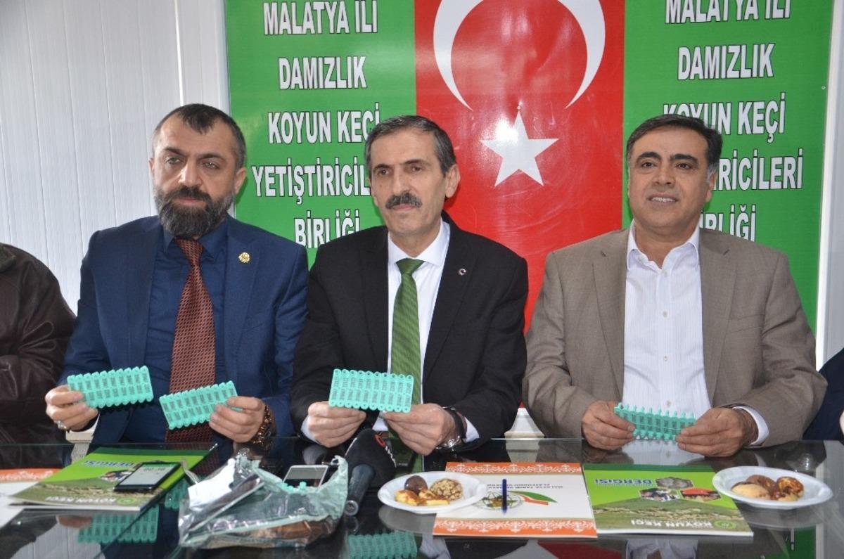 K&uuml;&ccedil;&uuml;kbaş hayvanlarda k&uuml;peleme ve SOYBİS &ccedil;alışması