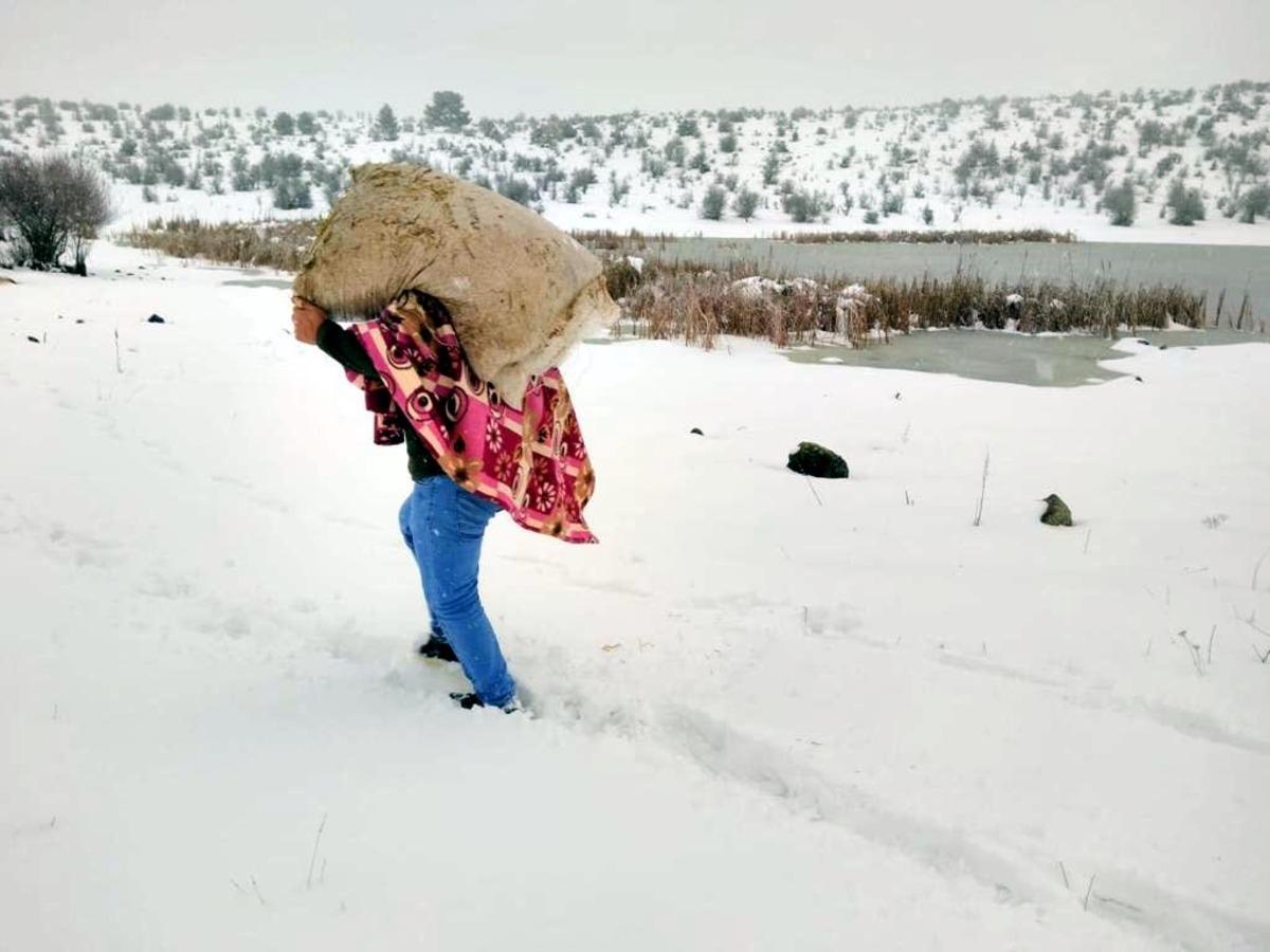 Bolu'da yaban hayvanları i&ccedil;in ekipler seferber oldu!