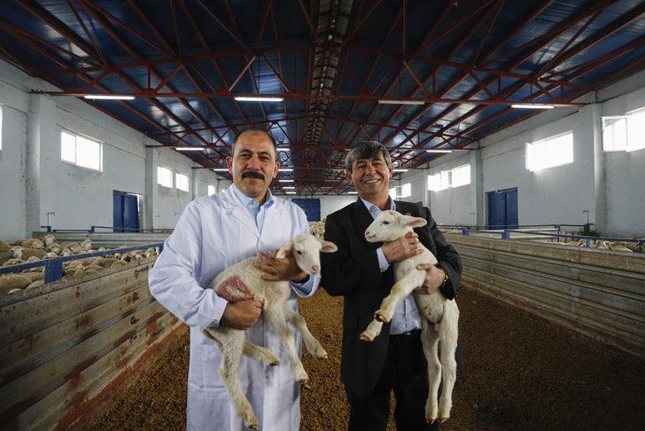 150 bin hayvanın soy kütüğü oluşturulacak G1