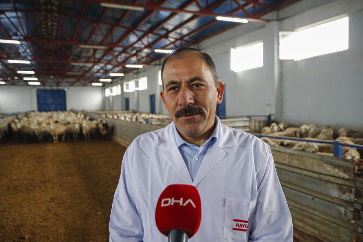 150 bin hayvanın soy kütüğü oluşturulacak G5