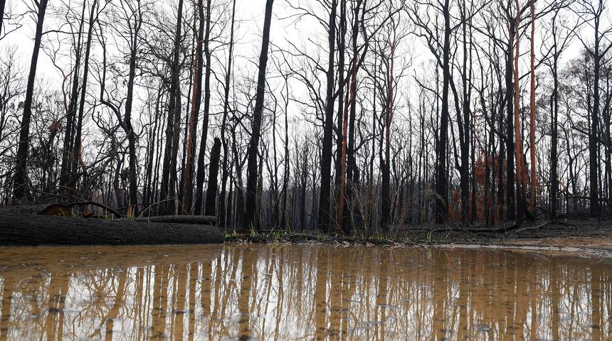 Avustralya&rsquo;yı bu kez şiddetli yağışlar vurdu