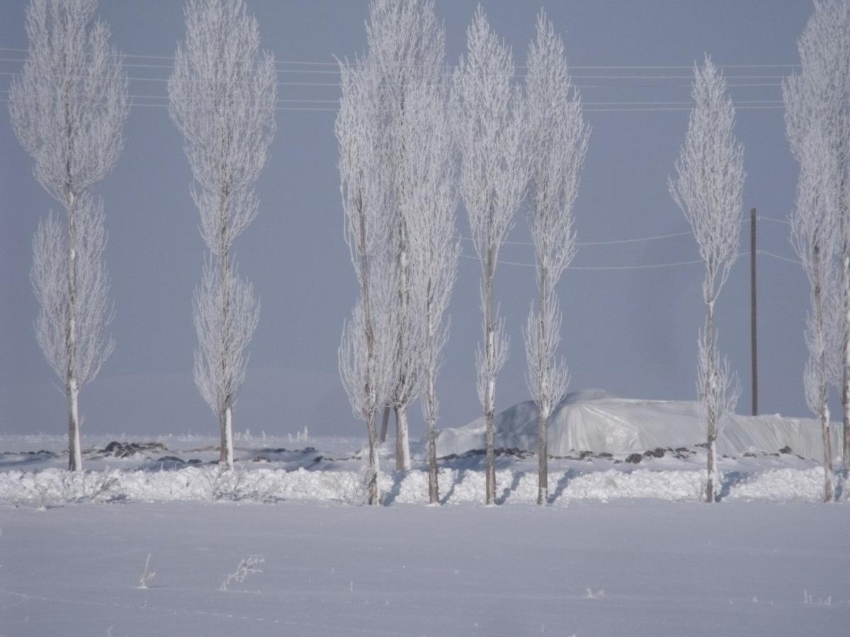 &Ouml;zalp il&ccedil;esinde durdurucu soğuklar