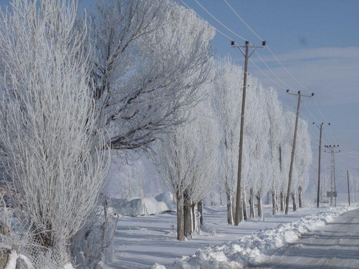 Özalp ilçesinde durdurucu soğuklar G3