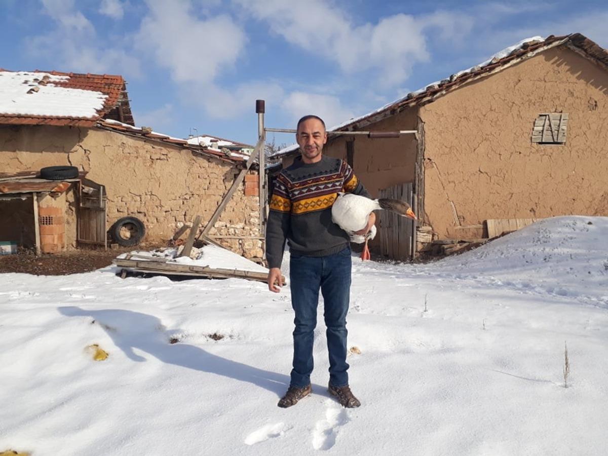 Kaz &uuml;reticiliği hızla artıyor