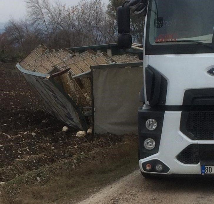 Osmaniye'de TIR devrildi! 2 bin 200 tavuk telef oldu G2