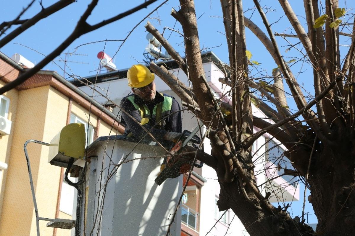Efeler&rsquo;de tehlikeye ge&ccedil;it yok