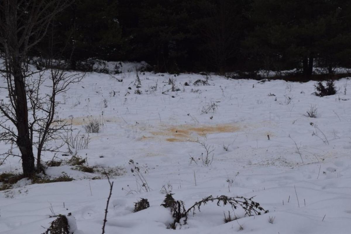 Yabani hayvanlar i&ccedil;in y&uuml;ksek kesimlere yiyecek bırakıldı