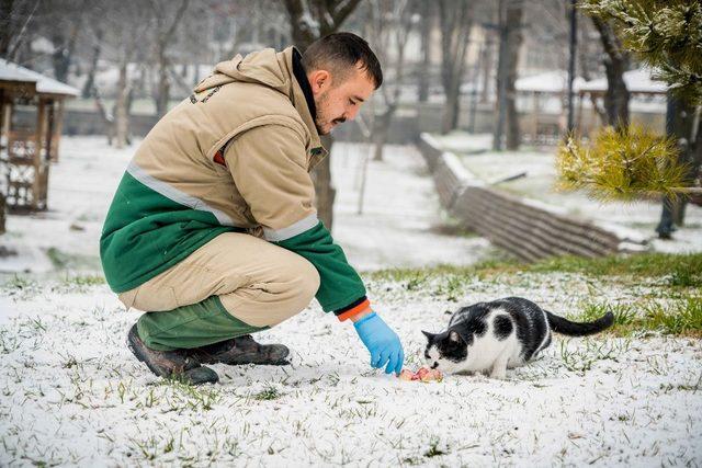 Sokak hayvanları için doğaya yiyecek bırakıldı