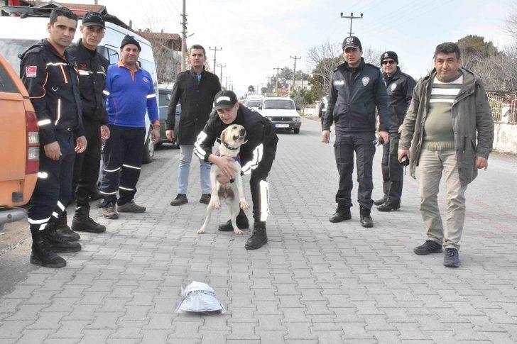 Köyceğiz’de kaybolan İngiliz aranıyor G1