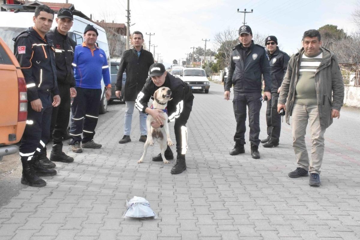 K&ouml;yceğiz&rsquo;de kaybolan İngiliz aranıyor