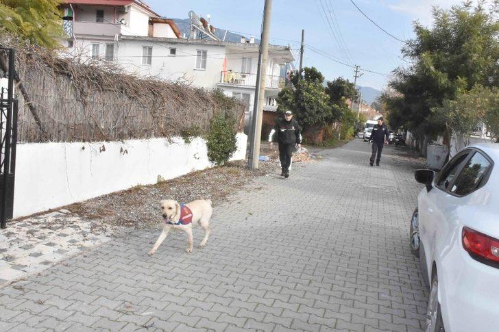 Köyceğiz’de kaybolan İngiliz aranıyor G2