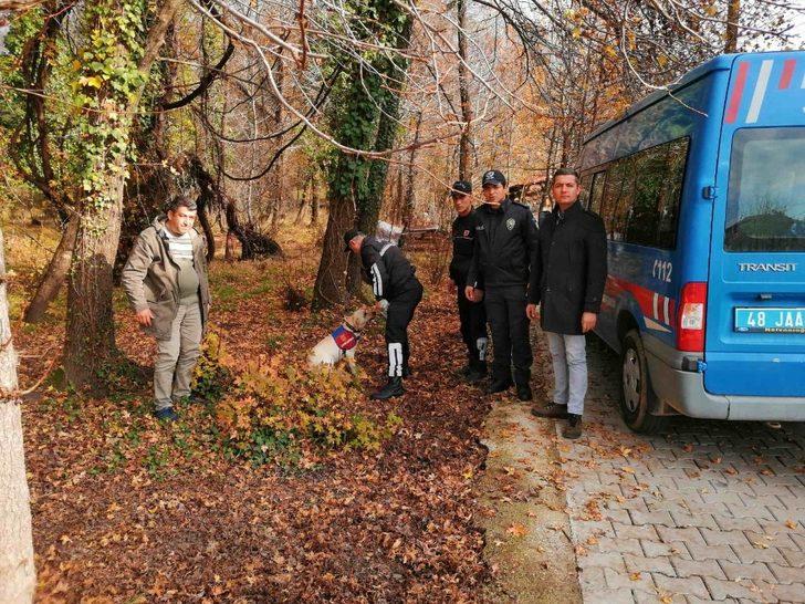 Köyceğiz’de kaybolan İngiliz aranıyor G3