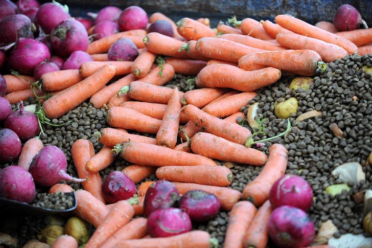 Kış uykusuna yatmayan ayılar için özel beslenme programı G3