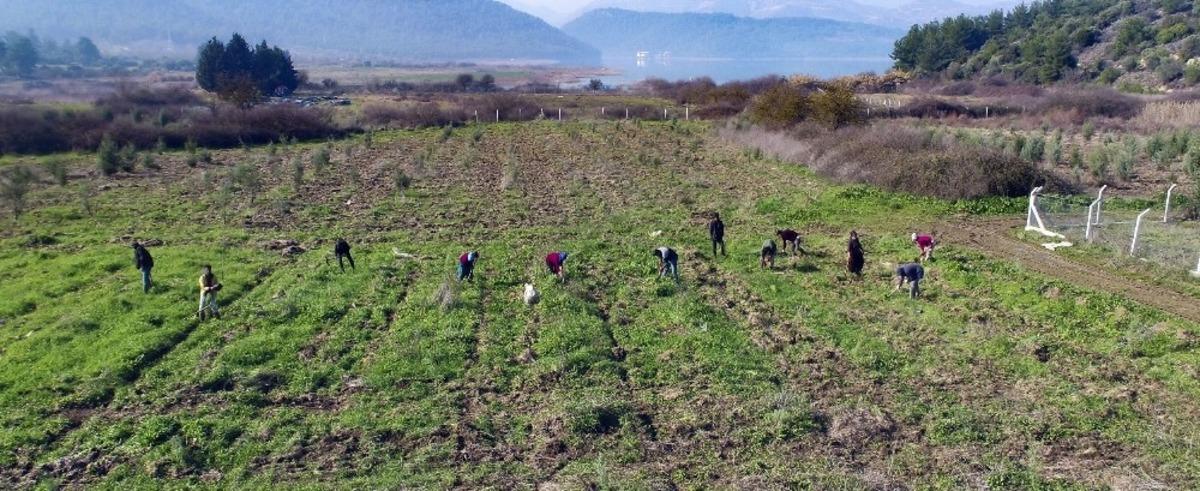 İZSU&rsquo;dan Tahtalı Havzasına 1 milyon 109 bin fidan