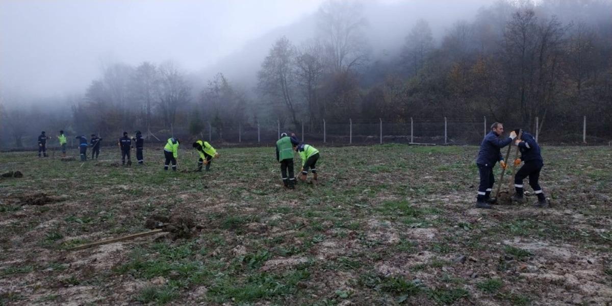 B&uuml;y&uuml;kşehir Yuvacık&rsquo;taki dolgu alanını ağa&ccedil;landırdı