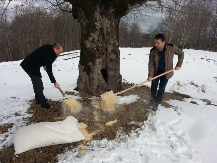 Kışın ortasında hayvanlar unutulmadı G1