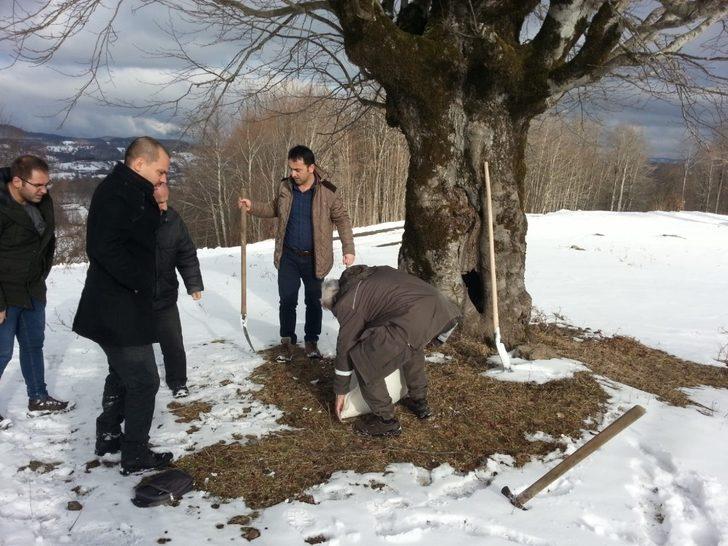 Kışın ortasında hayvanlar unutulmadı G3