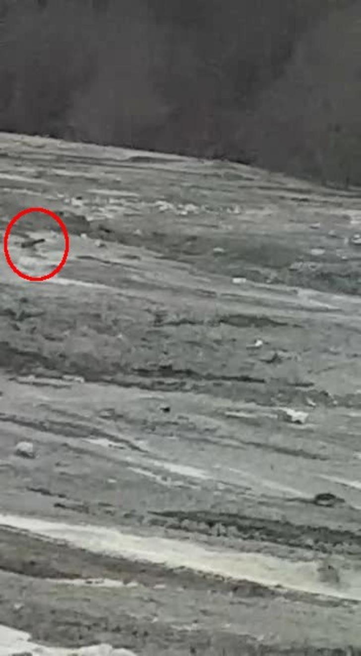 Çamura battı, yardım çığlıkları attı G1