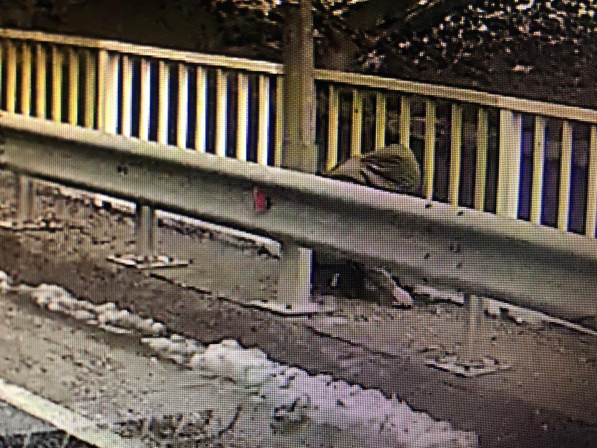 Kameradaki kişinin kayıp G&uuml;listan Doku olduğu netleşti