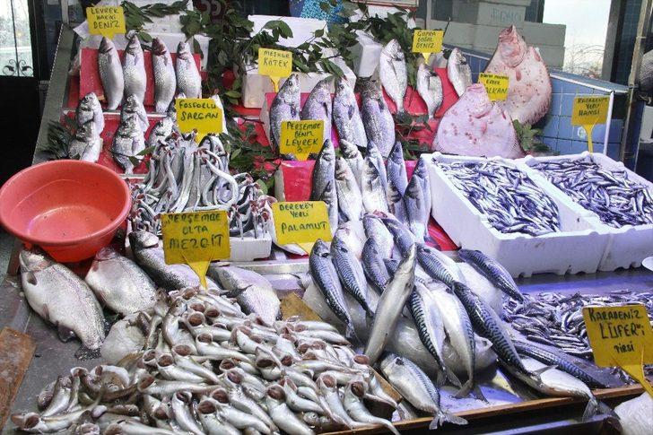Kalkan balığının fiyatı dudak uçuklatıyor G2