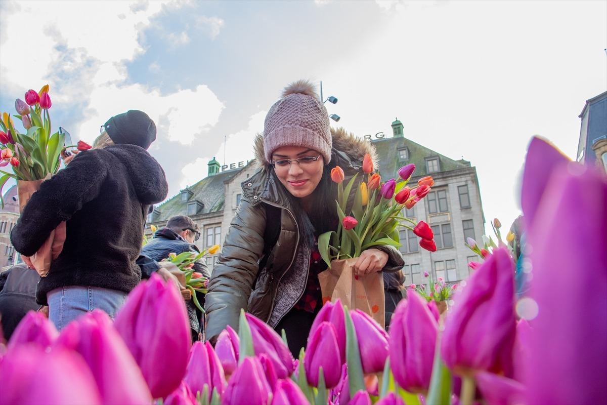 Hollanda'da "Ulusal Lale G&uuml;n&uuml;" etkinliği