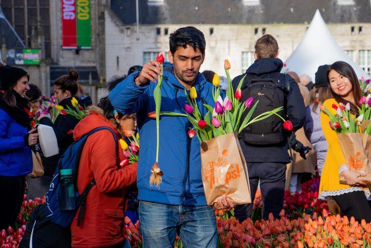 Hollanda'da "Ulusal Lale Günü" etkinliği G4