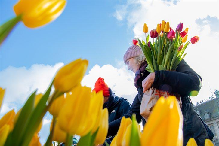 Hollanda'da "Ulusal Lale Günü" etkinliği G5