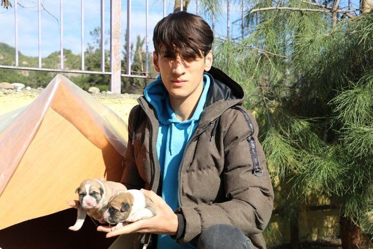 Amasya'da 19 yaşındaki genç harçlıklarıyla her gün yavru köpekleri besliyor G2