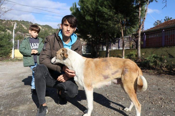 Amasya'da 19 yaşındaki genç harçlıklarıyla her gün yavru köpekleri besliyor G5
