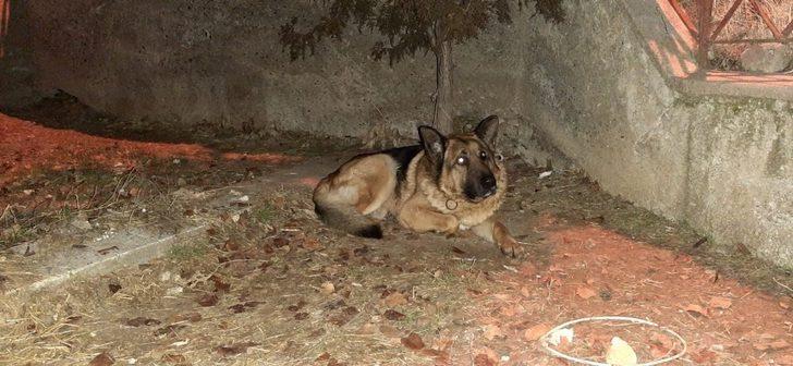 Yaşlı adam evinde ölü bulundu G3