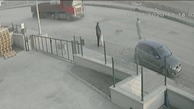Ankara'da TIR'ın sokak köpeğini ezme anı kamerada