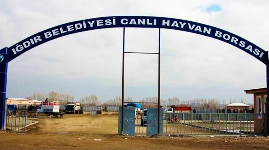 Iğdır&rsquo;da şap hastalığı paniği! 'Canlı Hayvan Borsası' kapatıldı