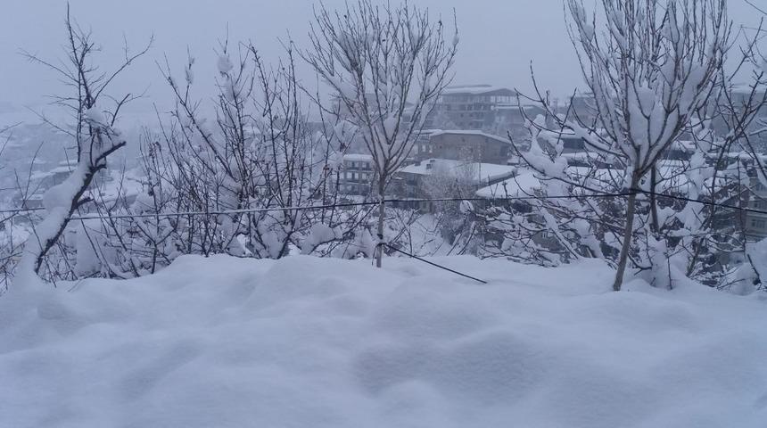 Hakkari&rsquo;de 259 yerleşim yeri ulaşıma kapandı