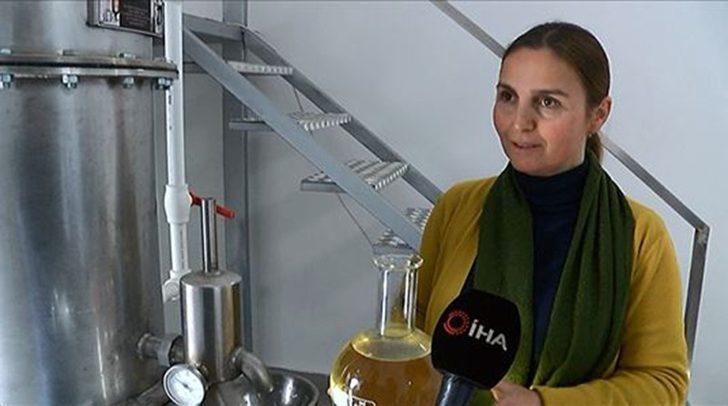 800 liralık lavanta çiçeğinden 20 bin liralık yağ elde ediliyor G1