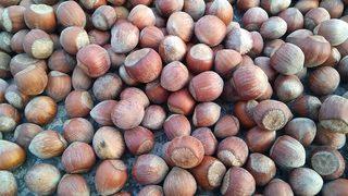 26 Şubat 2021 güncel fındık fiyatları... Fındık kaç lira oldu? İllere göre fındık fiyatları listesi!