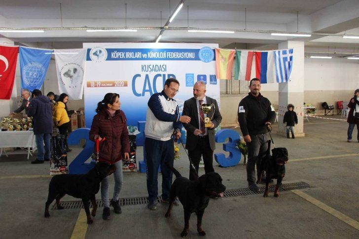 Köpek ırkları yarışması sona erdi G1