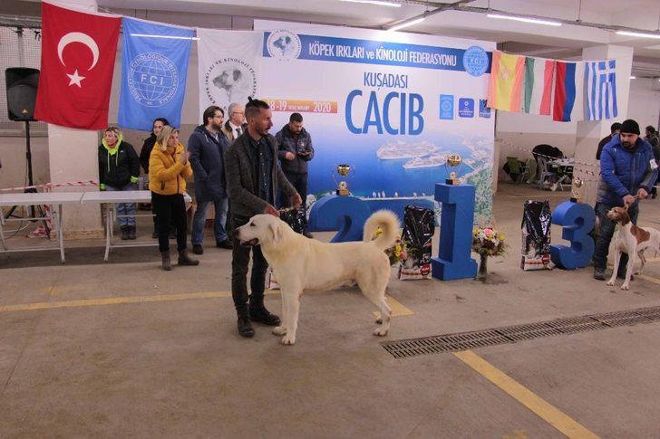 Köpek ırkları yarışması sona erdi G5