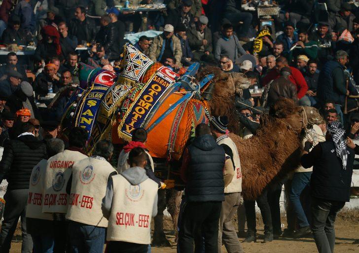 İzmir'de 38. Uluslararası Devecilik Festivali G1