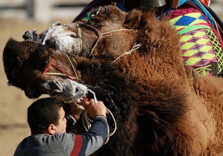 İzmir'de 38. Uluslararası Devecilik Festivali G3