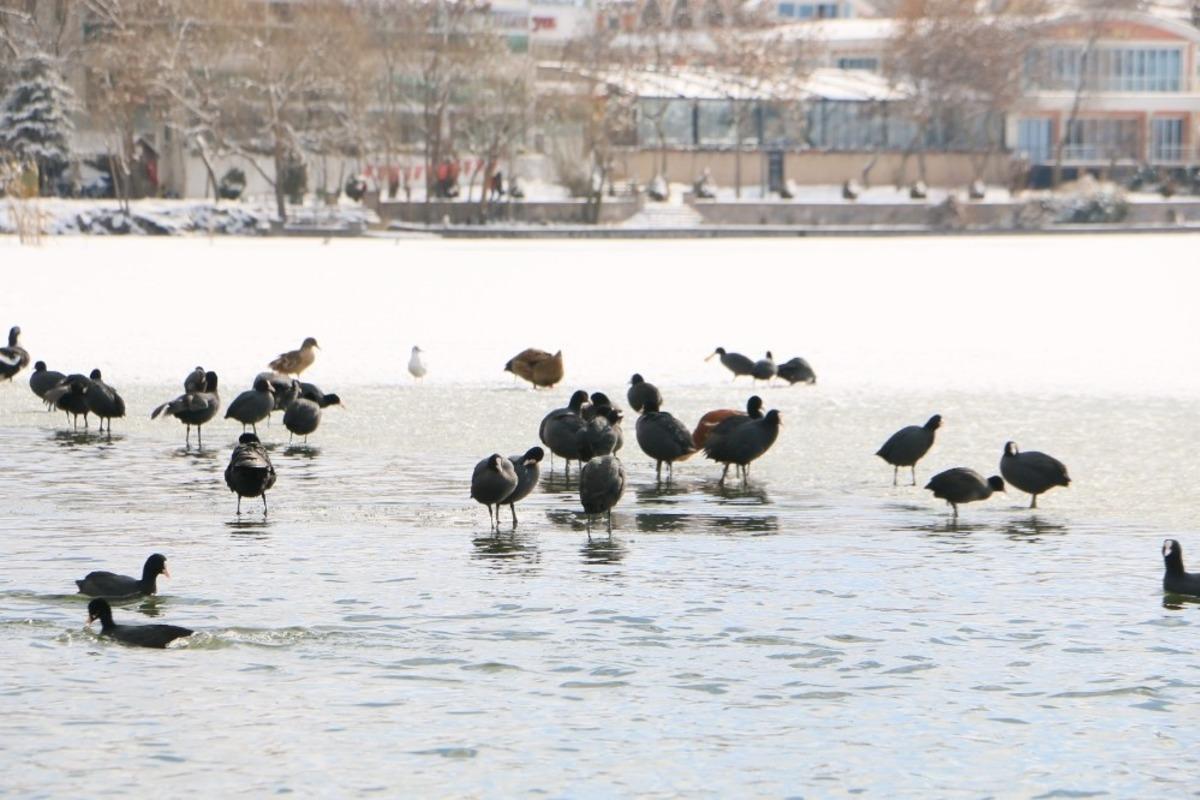 Başkent beyaza b&uuml;r&uuml;nd&uuml;